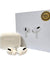 Airpods Pro 2 with ANC Technology | Wireless Earbuds Bluetooth | Super Sound Bass | Pop-Up Feature Compatible with All Devices